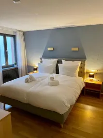Hotel & Restaurant Grüner Baum Merzhausen - Værelse
