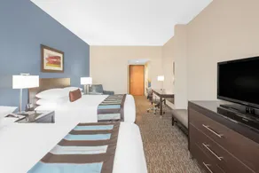 Wingate by Wyndham Sylvania-Toledo - Chambre
