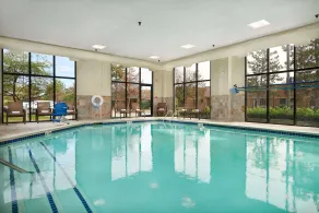 Hampton Inn Ann Arbor-South - Piscine