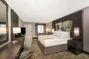 Days Inn by Wyndham Asheville Downtown North - Chambre