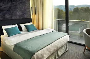 River View Hotel Tbilisi - Room