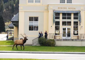Mammoth Hot Springs & Cabins - Inside the Park - Restaurant