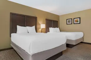 Comfort Inn Opelika - Auburn - Chambre