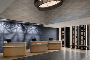 Austin Marriott South - Reception