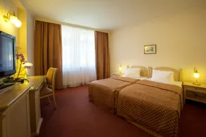 Interhotel Central - Chambre