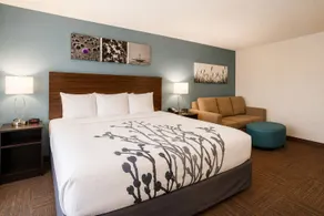 Sleep Inn & Suites Houston Westchase - Little Saigon - Rom
