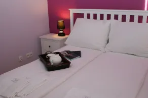 IRS ROYAL APARTMENTS Apartamenty IRS Sopocka Rezydencja - Værelse