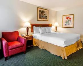 Clarion Inn & Suites Dothan South - Chambre