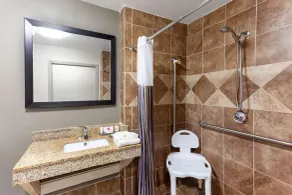 La Quinta by Wyndham Seguin - Salle de bain