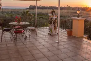 Palmed Hotel - Rooftop terrace