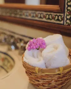 Hacienda de Comodejé - Baño