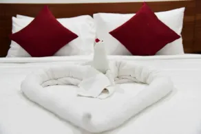 The Royal Comfort - Quarto