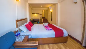 Durbar Guest House - Room