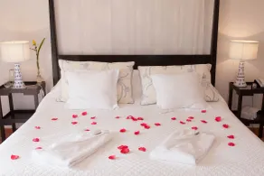 Quinta Bonita Luxury Boutique Hotel - Camera