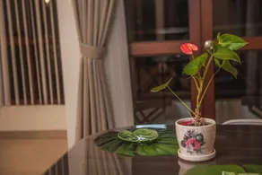 Florez de la Villa- Hotel Boutique - Restaurante