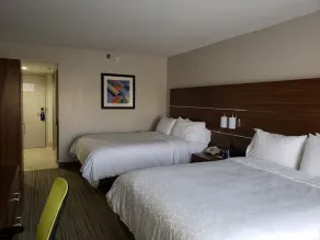 Holiday Inn Express Hotel & Suites Pigeon Forge by IHG - Chambre