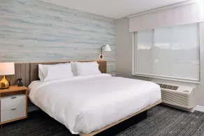 TownePlace Suites by Marriott Asheville Downtown - Chambre