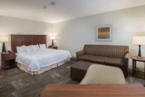 Hampton Inn & Suites Selma-San Antonio-Randolph AFB Texas - Chambre