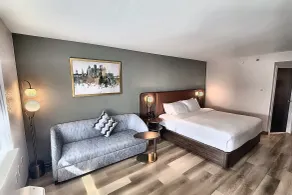 Radisson Hotel Detroit Metro Airport - Rum