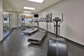 Country Inn & Suites by Radisson, Big Rapids, MI - Salle de remise en forme