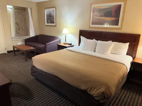 Wingate by Wyndham Livonia - Chambre