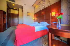 Hotel Galicja Wellness & SPA - Chambre