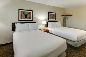 Stoney Creek Hotel Peoria - Chambre