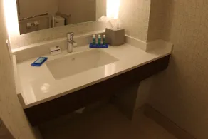 Holiday Inn Express & Suites - Detroit Northwest - Livonia by IHG - Salle de bain