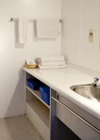 Apple Motor Inn - Bathroom