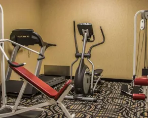 Comfort Inn Birch Run - Frankenmuth - Salle de remise en forme