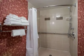 Comfort Suites Suffolk - Chesapeake - Salle de bain