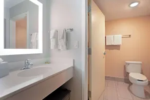 Best Western Plus Fort Worth North - Salle de bain