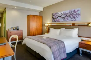 ANEW Hotel Hatfield Pretoria - Room