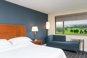Hilton Chicago/Oak Brook Hills Resort & Conference Center - Vue de la chambre