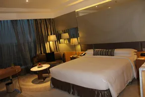 Hyatt Regency Gurgaon - View from room