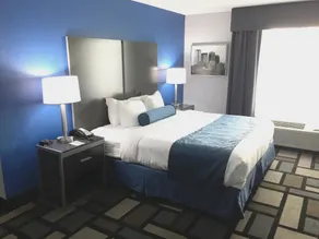 Best Western Plus Birmingham Inn & Suites - Chambre