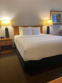 Best Western Plus Kelly Inn - Chambre