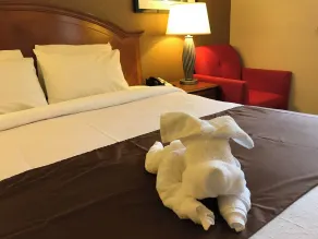 Americas Best Value Inn Lynnwood - Chambre