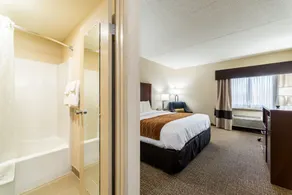 Comfort Inn Festus-St Louis South - Salle de bain