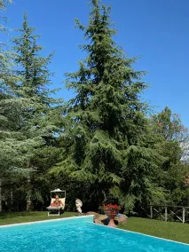 Borgo di Camporsevoli - Pool