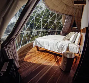 TREE TREK BOQUETE Adventure Park - Room