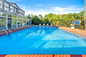 Wyndham Garden Manassas - Piscine