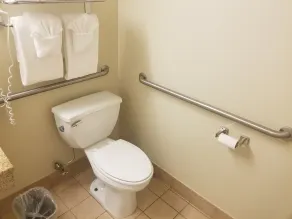 Comfort Inn & Suites Mount Pocono - Salle de bain