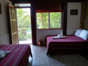 Zapote Tree Inn - Room