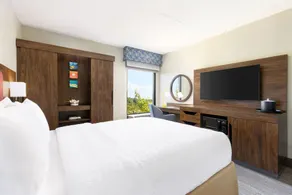 Hampton Inn Long Island/Islandia - Chambre