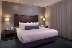SpringHill Suites by Marriott Baltimore Downtown/Inner Harbor - Chambre