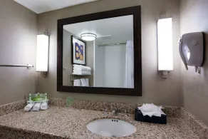 Holiday Inn Express Hotel & Suites Meadowlands Area by IHG - Salle de bain