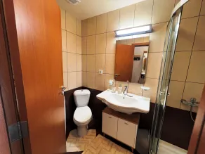 Tulip Studio Deluxe, Grand Resort Pamporovo - Bathroom