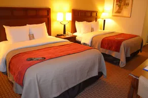 Comfort Inn Columbus near Fort Benning - Chambre