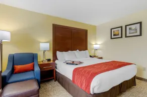 Comfort Inn & Suites Hillsville I-77 - Chambre